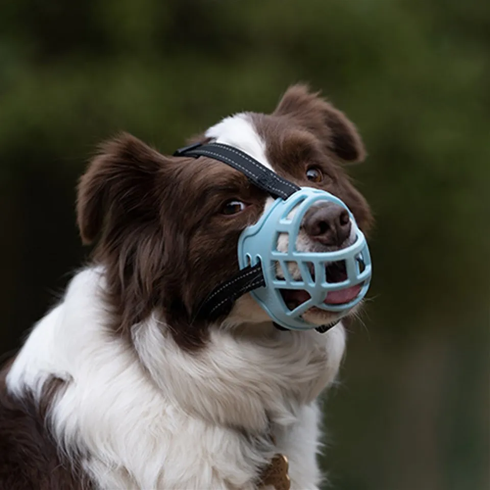 Kaganiec dla psa w stylu kosza