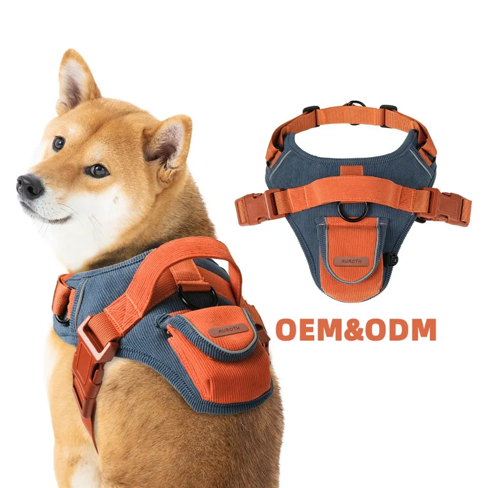 Sztruksowe szelki dla psa