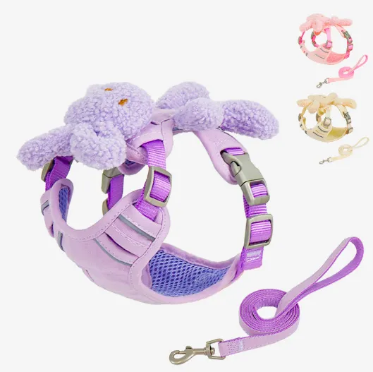 Uroczy zestaw szelek i smyczy dla psa