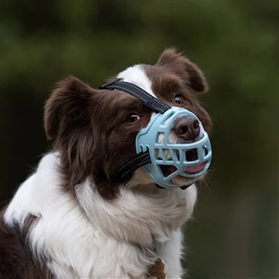 Kaganiec dla psa w stylu kosza